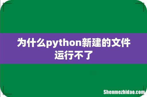 为什么python新建的文件运行不了