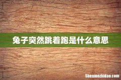 兔子突然跳着跑是什么意思