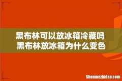 黑布林可以放冰箱冷藏吗 黑布林放冰箱为什么变色
