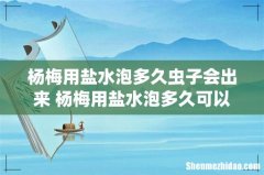 杨梅用盐水泡多久虫子会出来 杨梅用盐水泡多久可以吃