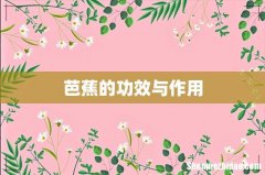 芭蕉的功效与作用