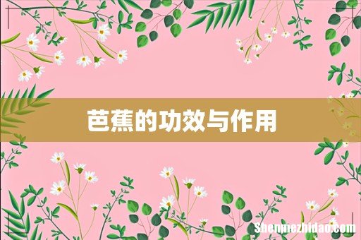 芭蕉的功效与作用