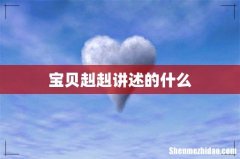 宝贝赳赳讲述的什么