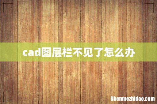 cad图层栏不见了怎么办