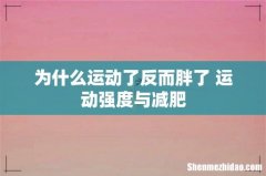 为什么运动了反而胖了 运动强度与减肥