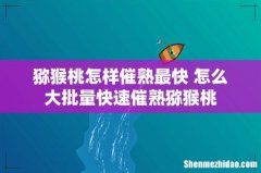 猕猴桃怎样催熟最快 怎么大批量快速催熟猕猴桃