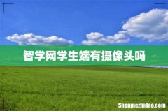 智学网学生端有摄像头吗