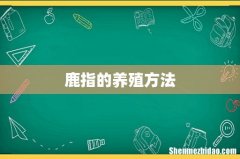 鹿指的养殖方法
