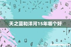 天之蓝和洋河15年哪个好