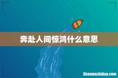 奔赴人间惊鸿什么意思
