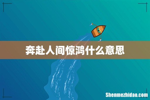 奔赴人间惊鸿什么意思