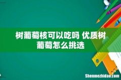 树葡萄核可以吃吗 优质树葡萄怎么挑选