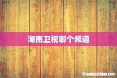 湖南卫视哪个频道