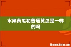 水果黄瓜和普通黄瓜是一样的吗