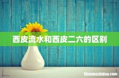 西皮流水和西皮二六的区别