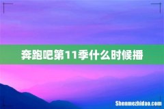 奔跑吧第11季什么时候播