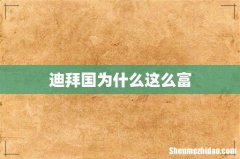 迪拜国为什么这么富