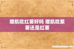 增肌吃红薯好吗 增肌吃紫薯还是红薯