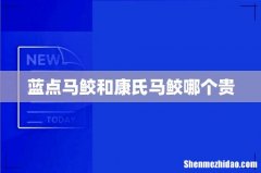 蓝点马鲛和康氏马鲛哪个贵