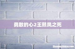 勇敢的心2王熙凤之死