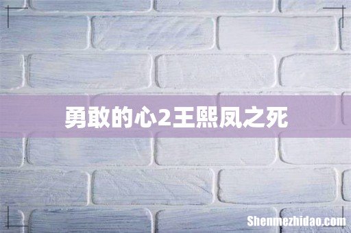勇敢的心2王熙凤之死