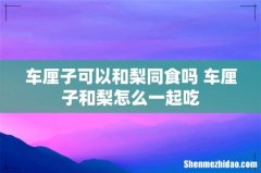 车厘子可以和梨同食吗 车厘子和梨怎么一起吃