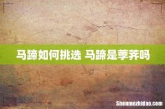 马蹄如何挑选 马蹄是荸荠吗