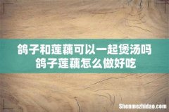 鸽子和莲藕可以一起煲汤吗 鸽子莲藕怎么做好吃