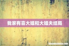 我家有喜大姐和大姐夫结局
