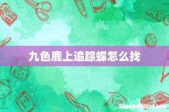 九色鹿上追踪蝶怎么找