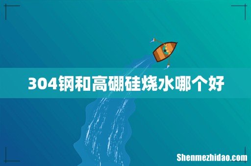 304钢和高硼硅烧水哪个好