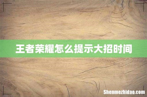 王者荣耀怎么提示大招时间