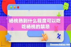 杨桃熟到什么程度可以吃 吃杨桃的禁忌