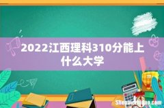 2022江西理科310分能上什么大学