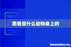 麝香是什么动物身上的