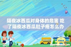 隔夜冰西瓜对身体的危害 吃了隔夜冰西瓜肚子疼怎么办