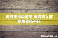 马齿苋是中药吗 马齿苋入药前需要晒干吗