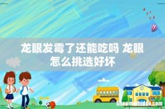 龙眼发霉了还能吃吗 龙眼怎么挑选好坏