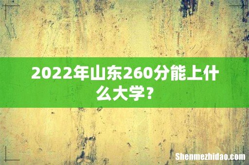 2022年山东260分能上什么大学?
