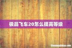 极品飞车20怎么提高等级