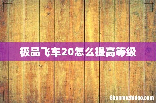 极品飞车20怎么提高等级