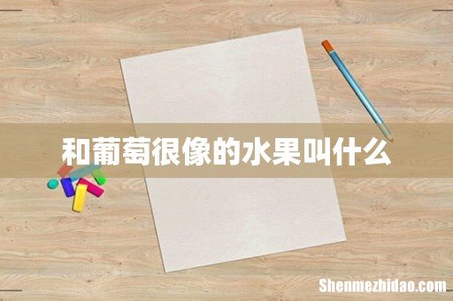 和葡萄很像的水果叫什么