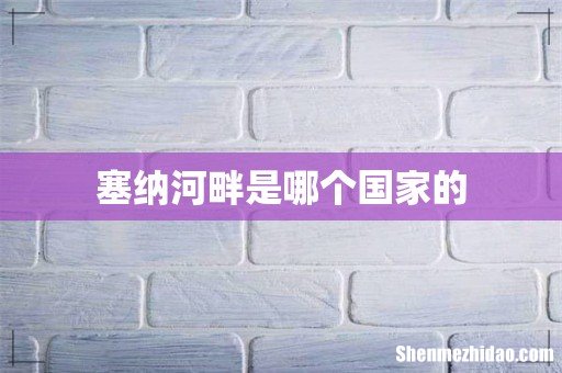 塞纳河畔是哪个国家的