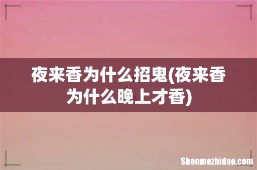 夜来香为什么晚上才香 夜来香为什么招鬼