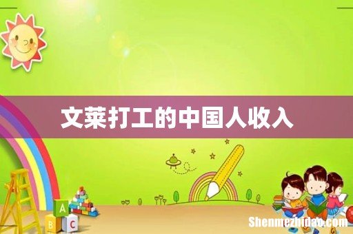文莱打工的中国人收入