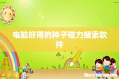 电脑好用的种子磁力搜索软件