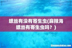 麻辣海螺丝有寄生虫吗？ 螺丝有没有寄生虫