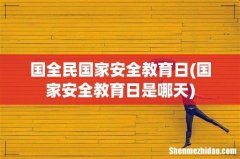 国家安全教育日是哪天 国全民国家安全教育日