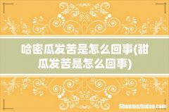 甜瓜发苦是怎么回事 哈密瓜发苦是怎么回事