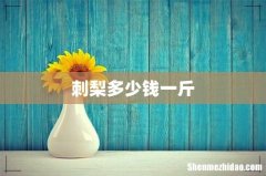 刺梨多少钱一斤
